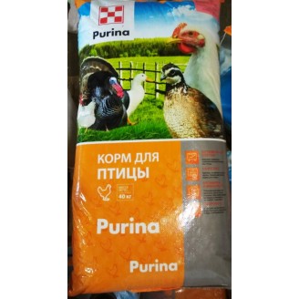 Комбикорм для молодняка кур-несушек предкладка SPECIAL (6-19 нед.)  Purina